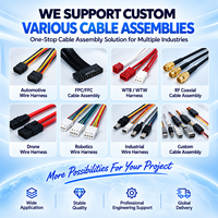 Harnais de câblage multi-branche personnalisé OEM, assemblage de câbles USB Type C pour l'automatisation industrielle, équipement robotique