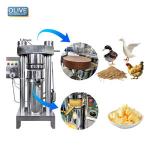 Máquina Hidráulica de Extracción de Aceite de Oliva, Prensa Fría para Aceite de Linaza, Ricino, Manteca de Cacao, Coco y Granos de Cacao, Alta Productividad - Product Image 2