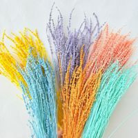 Bunga Lavender Berwarna, Langsung dari Pabrik, Diawetkan, Kering, Alami, Batang Tanaman, Dekorasi Natal, Hari Valentine, Wisuda, Hari Ibu