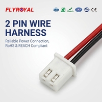 Câble de raccordement compact personnalisé avec connecteur femelle 2 broches, fils rouges et noirs, pour éclairage LED et circuits imprimés