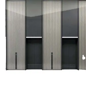 Ferosteel Decoratieve Lift Deur Smalle Deurstijl Ontwerp Voor Lift Entree