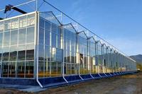 Hoge kwaliteit kasautomatisering, landbouwkas, hydrocultuurkas, klimaatregeling, kas met dik glas