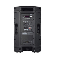 Musik Latar Belakang Teknologi Digital Aktif 12" Woofer Titanium Tweeter PA Speaker Publik untuk Ruang Gym Pusat Kebugaran