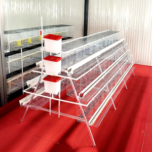 Nueva Jaula Automática de Malla de Alambre Tipo A para Gallinas Ponedoras en Avicultura - Product Image 1