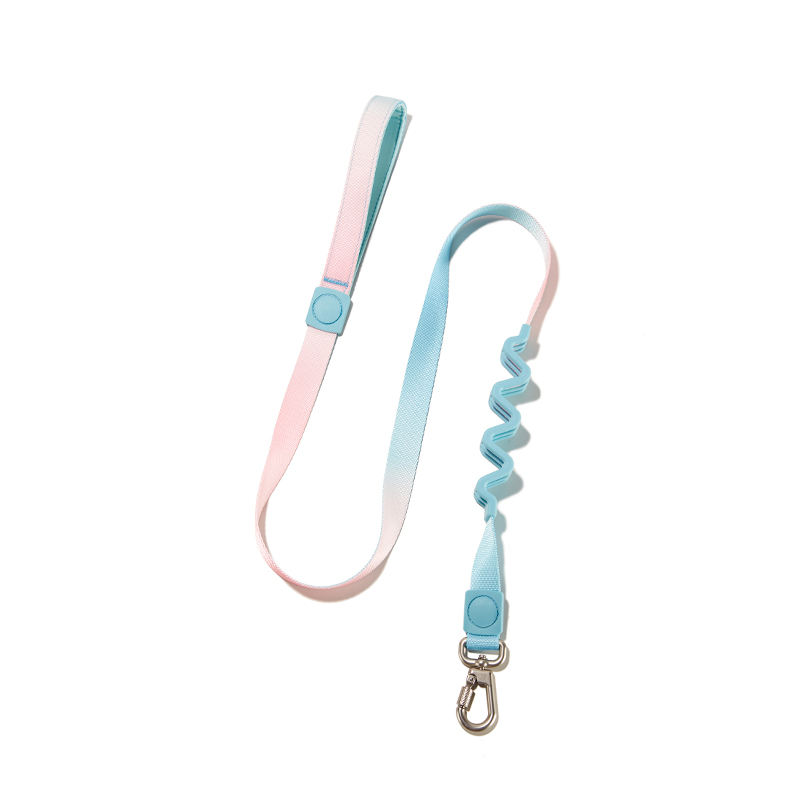 Pink gradient-leash
