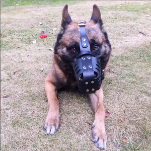 Muselière pour chien en cuir tanné végétal de qualité supérieure pour grandes races |   Masque anti-morsure et anti-aboiement réglable |   Équipement d'entraînement d'agilité - Product Image 6