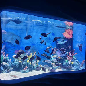 Aquarium, bassin pour poissons d'<span class=keywords><strong>eau</strong></span> <span class=keywords><strong>salée</strong></span>, grand aquarium - Product Image 5