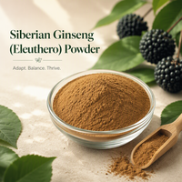 Extrait naturel de ginseng de Sibérie 10:1, extrait de racine d'Eleutherococcus Senticosus en poudre, extrait de plante médicinale en vrac