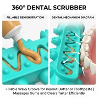 Jouet à mâcher durable pour chien, brosse à dents orale, jouet à mâcher indestructible en caoutchouc pour les mâchoires, écologique pour les mâchoires agressives, taille moyenne