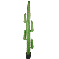 Grandes plantes artificielles de cactus PE de luxe en stock, hauteur 206cm, herbe en plastique, haute assurance pour paysage extérieur, mariage
