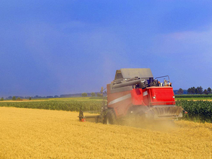 Macchina Agricola Cinese XC530-4 da 162HP, Raccoglitrice di Mais con Trasmissione a Ingranaggi, Alta Produttività per Aziende Agricole di Medie e Grandi Dimensioni - Product Image 2