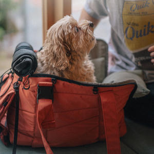 फैशन हॉट सेलिंग पालतू जानवर यात्रा टोटे बैग पोर्टेबल पेट बैग हैंडबैग छोटे पालतू जानवर लुभावनी कुत्ते बिल्ली वाहक बैग - Product Image 5