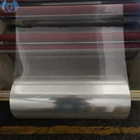 2025 nouvelle usine de haute qualité 4 * 8ft feuille d'ANIMAL FAMILIER en plastique transparent rigide