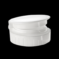 Bouchon de bouteille en plastique à rabat avec Valve en Silicone/TPE