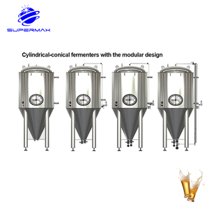 经典商用啤酒酿造设备 300L/500L PLC 控制电机压力容器 SUS304 材质，适用于小型餐厅酒吧 - Product Image 4