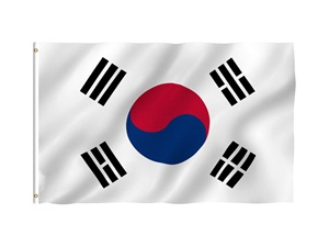 3x5 英尺韩国国旗，色彩鲜艳，防褪色，缎面防水，双缝涤纶，黄铜孔眼，国旗 - Product Image 1