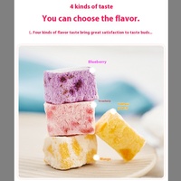Gezonde Gevriesdroogde Yoghurt Bijt Gemengde Fruitsmaak-Kindersnacks Met Aardbei, Bosbes, Mango, Perzik Voor Schoollunch,