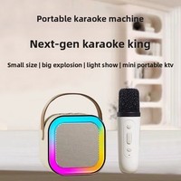 Speaker Karaoke Portabel Nirkabel 5W 5.1 All-in-one Mini KTV untuk Penggunaan di Rumah, Luar Ruangan, dan Pesta