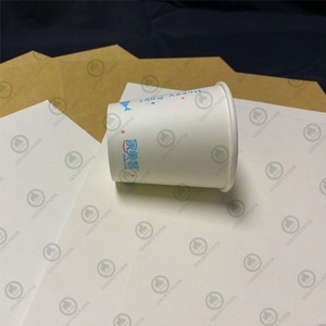 Papier pour gobelets de qualité alimentaire de 150 g/m² à 350 g/m², enduit d'un côté de PE, pour la fabrication de gobelets en papier - Product Image 2