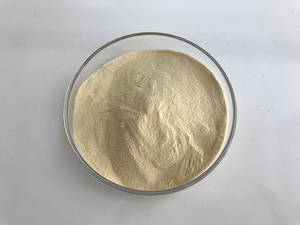 Fábrica China con 14 Años de Experiencia Ofrece Peptona de Caseína para Caseína - Product Image 2