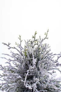 Árbol de plástico artificial en forma de cono Flocado de 1,3 metros de altura al por mayor para la decoración interior y exterior del hogar - Product Image 3