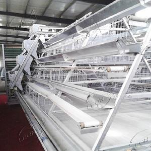 Gabbie per animali da gallina tipo A zincato A caldo A basso prezzo per forniture per allevamenti di pollame - Product Image 5