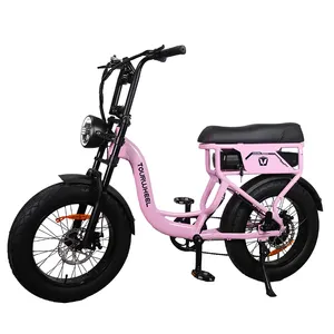 Tourwheel Wholesale Supplier Lithium Battery E-Bike Eu Warehouse Electric Bike 250W 500W 750W Woman Elektrische Fiets