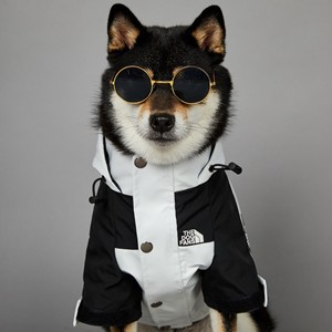 Veste d'hiver de marque américaine tendance Grands chiens Motif solide Coupe-vent Imperméable Eco-friendly Pure White Modern <span class=keywords><strong>North</strong></span> Polyester - Product Image 3