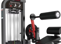 Machine de musculation multifonctionnelle à cinq stations pour la musculation, la force et la remise en forme, équipement d'extension dorsale
