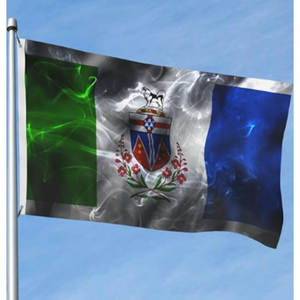 Drapeau de l'î<span class=keywords><strong>le</strong></span> de Prince Edward 3x5 pieds, tapisserie de drapeau national avec 2 œillets pour la <span class=keywords><strong>d</strong></span>écoration extérieure de la cour, de la maison et du <span class=keywords><strong>jardin</strong></span>, en polyester durable - Product Image 6