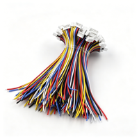 Kabel Harness Konektor Kustom Jst Sh Gh Zh pH Xh 1.0 1.25 1.5 2.0 2.54mm Pitch 2/3/4/5/6 Pin