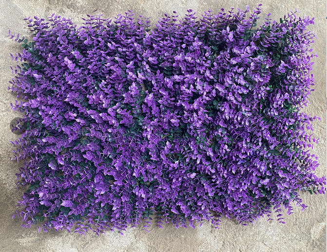 ยูคาลิปตัสสีม่วง