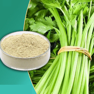 アピゲニン粉末乾燥乾燥セロリ種子エキスセロリエキス粉末アピゲニン520-36-5バルクセール - Product Image 4