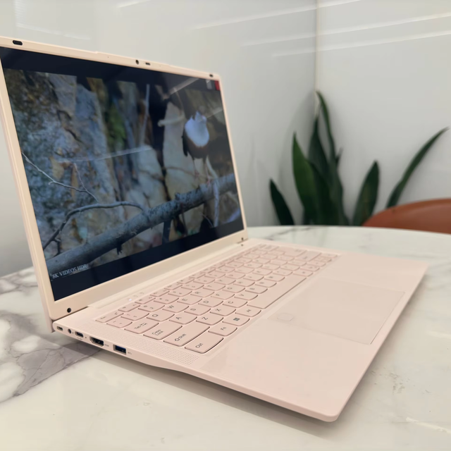 OEM 14 Inch Laptop Supports 512GB 1TB DDR4 Video Computer Hardware Software Manufacturer pink Laptop