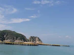 Cage à poissons en HDPE pour l'aquaculture à haute densité, stimule les profits agricoles à long terme - Product Image 5