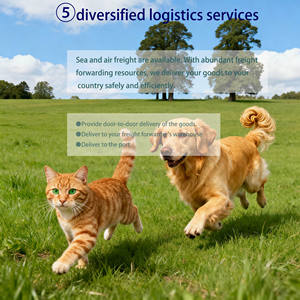 Alimento Premium para Animais de Estimação <span class=keywords><strong>2026</strong></span>, Atacado OEM ODM, Ração Seca para Gatos com Alto Teor de Proteína para Ganho Muscular, Saco de 20kg, Ração Seca para Cães ODM OEM - Product Image 4