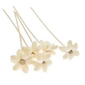 Getrocknete Blumen Reed Diffusor Holz Sola Blumen öl Diffusor Sticks Premium White Rose Reed Diffusor Stick