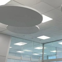Panneau diffuseur acoustique direct en fibre de verre hexagonal pour plafonds suspendus, nuages acoustiques pour restaurants et halls d'exposition