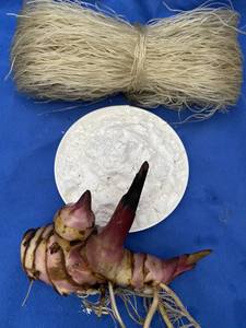 วุ้นเส้นมันเทศสำเร็จรูปคุณภาพสูงขายส่งจากโรงงาน - Product Image 3