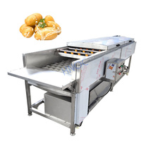 Meilleure vente laveuse commerciale d'oignons, manioc, gingembre équipement de lavage de fruits et légumes machine à laver et à éplucher les carottes et les pommes de terre