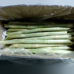 Trozos de Caña de Azúcar Congelados Naturales, Cosecha Fresca, Suministro a Granel, Adecuados para Producción de Jugos, Servicios de Catering y Negocios Minoristas - Product Image 6