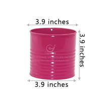 Pot de fleurs en métal de 0,2 gallon pour la maison et le jardin