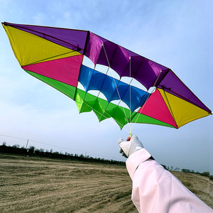 2025 nouvelle usine personnalisée 3D Radar Kite <span class=keywords><strong>grand</strong></span> <span class=keywords><strong>cerf</strong></span>-<span class=keywords><strong>volant</strong></span> de Weifang pour adultes - Product Image 1