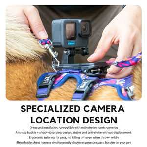 Ensemble de <span class=keywords><strong>harnais</strong></span> pour chien No Escape - Collier de sécurité réglable et laisse avec support pour caméra d'action, équipement pour animaux de compagnie de qualité supérieure - Product Image 2