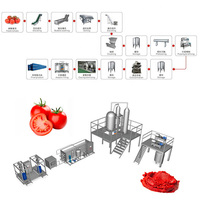 ISO 9001/CE Professionele Industriële 10~600 Ton Per Dag Multifunctionele Geautomatiseerde Tomatenconservenlijn