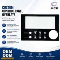 Etiqueta Adhesiva Personalizada Resistente al Agua para Panel de Control PMMA PET, Ventana Transparente Frontal, Impresión Serigráfica para Cámara