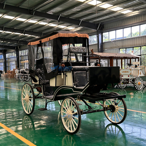 Nueva luz a juego de colores <span class=keywords><strong>en</strong></span> blanco y negro, turismo de lujo, carruaje tirado por caballos, carruaje Royal Sightseeing Victoria con dosel - Product Image 6