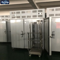 Congélateur rapide industriel Mr Frio à 2 portes -45°C en acier inoxydable avec refroidissement par ventilateur 5500W, équipement de congélation rapide à enroulement