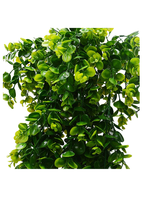 Plante artificielle d'eucalyptus verte de 80 cm, simulation en plastique, décoration murale pour mariage, Noël, intérieur, extérieur, hôtel, boîte