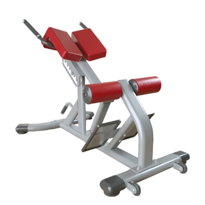 CZFIT Équipement de fitness de haute qualité pour l'entraînement de force et la musculation : Chaise romaine d'extension dorsale pour salle de sport - Product Image 4